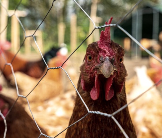 1920__output_Buero_140523_Orsfeld_Ferienwohnung_A7 1920__output_Buero_140523_Orsfeld_Ferienwohnung_A7