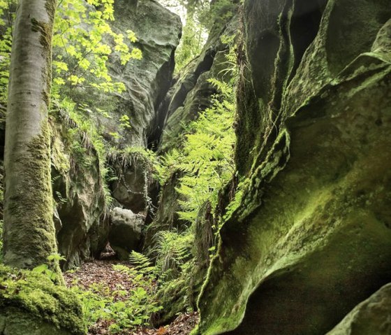 M++llertal-2017-6 M++llertal-2017-6