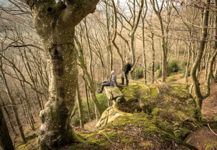Schroffe Felsen, © Eifel Tourismus GmbH, D. Ketz Schroffe Felsen, © Eifel Tourismus GmbH, D. Ketz