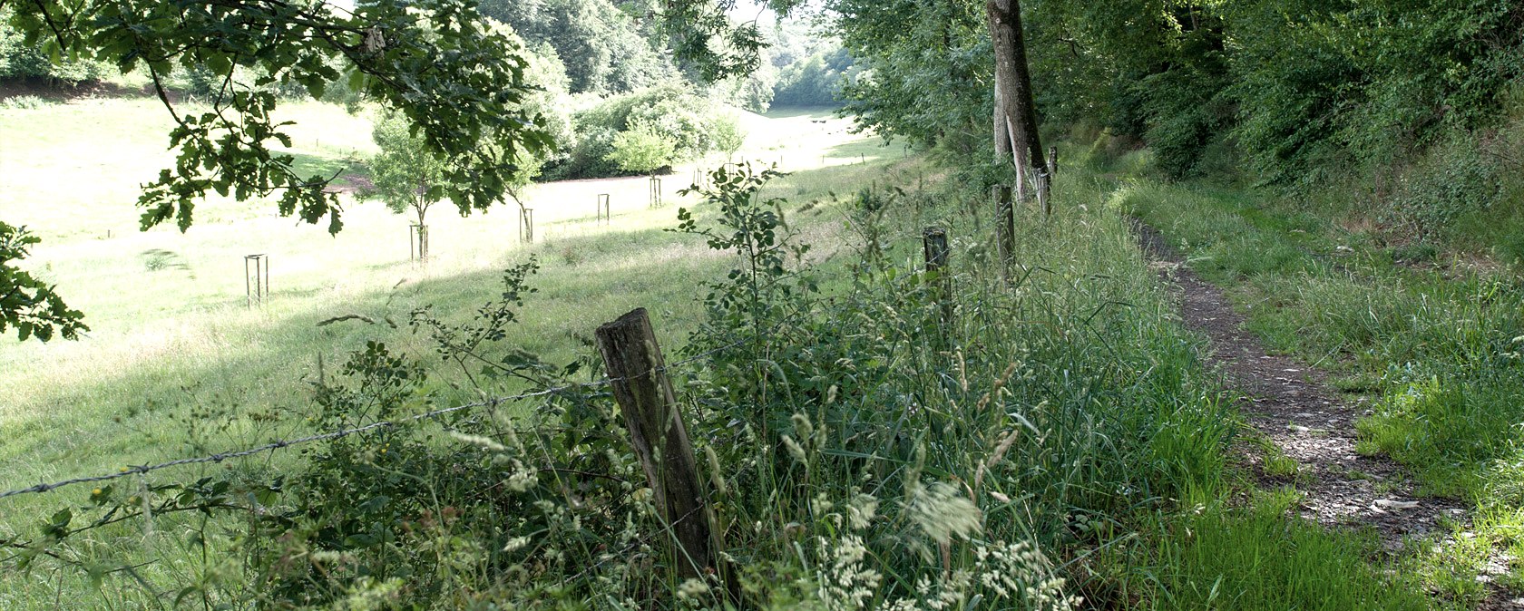 Im Lammbachtal, © V. Teuschler Im Lammbachtal, © V. Teuschler