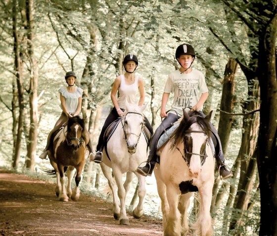 Nengshof-7210 Nengshof-7210