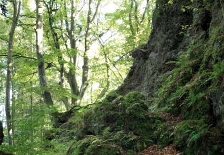 Wanderwege im Naturpark Südeifel, © Volker Teuschler Wanderwege im Naturpark Südeifel, © Volker Teuschler