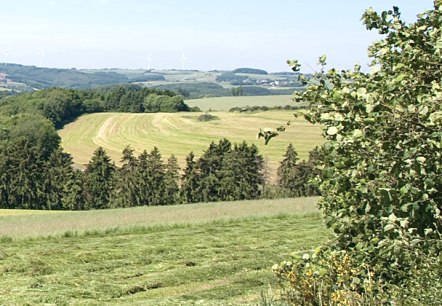 Eifelhöhen, © V. Teuschler Eifelhöhen, © V. Teuschler