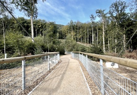 Weg zur Hängebrücke, © Naturpark Südeifel/Ansgar Dondelinger Weg zur Hängebrücke, © Naturpark Südeifel/Ansgar Dondelinger