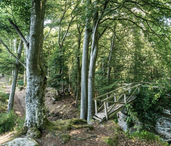 Steg zum Felsen neben der Schankweiler Klause, © Eifel Tourismus GmbH / Dominik Ketz Steg zum Felsen neben der Schankweiler Klause, © Eifel Tourismus GmbH / Dominik Ketz