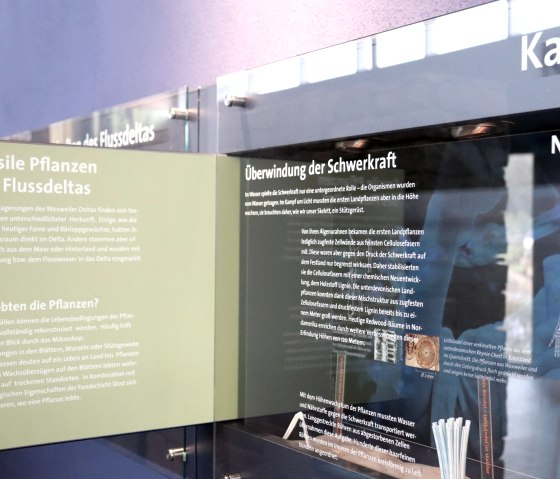 Devonium - Schaukästen und -tafeln, © Tourist-Information Islek, Ingrid Wirtzfeld Devonium - Schaukästen und -tafeln, © Tourist-Information Islek, Ingrid Wirtzfeld