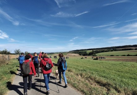 Unterwegs während der Wanderwoche Südeifel, © Felsenland Südeifel Tourismus GmbH Unterwegs während der Wanderwoche Südeifel, © Felsenland Südeifel Tourismus GmbH
