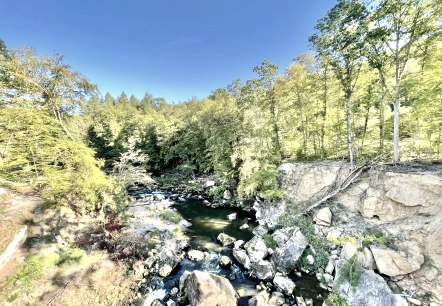 Aussicht von der Hängebrücke über den Irreler Wasserfällen, © Naturpark Südeifel/Ansgar Dondelinger Aussicht von der Hängebrücke über den Irreler Wasserfällen, © Naturpark Südeifel/Ansgar Dondelinger
