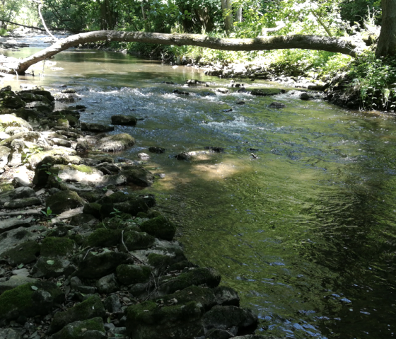 2021-12-15 22_19_03- Nims, Vorlage Morag 2019 Wind 2021-12-15 22_19_03- Nims, Vorlage Morag 2019 Wind