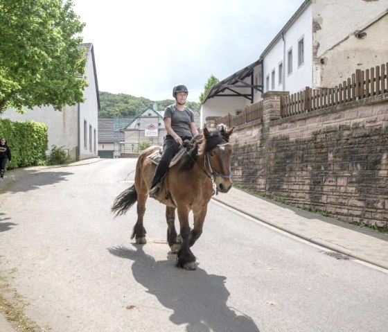 CorinnamitAnnoeska CorinnamitAnnoeska