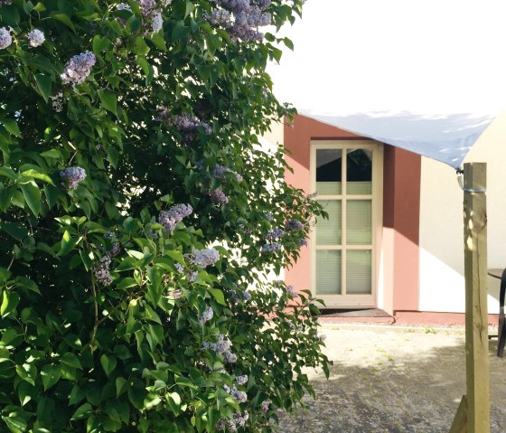 Fliederblüte im Frühling, © Feha Zum Mühlbachtal Fliederblüte im Frühling, © Feha Zum Mühlbachtal