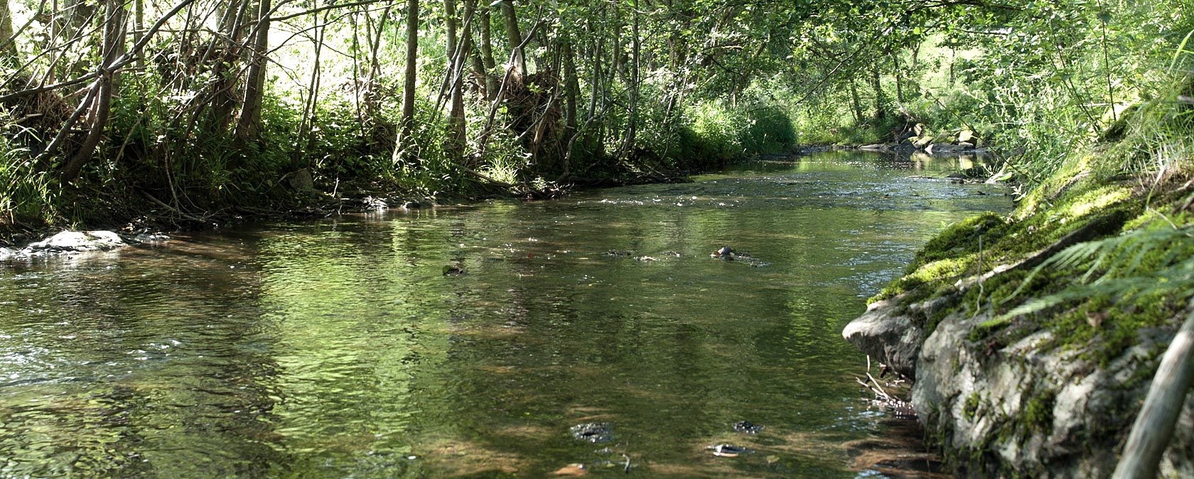 At the Heimbach near Daleiden At the Heimbach near Daleiden