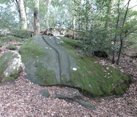Ein moosbedeckter Felsen im Wald bei Bollendorf, umgeben von Bäumen und Laub. Der Felsen hat eine glatte, rutschige Oberfläche., © Elke Wagner, Felsenland Südeifel Tourismus GmbH Ein moosbedeckter Felsen im Wald bei Bollendorf, umgeben von Bäumen und Laub. Der Felsen hat eine glatte, rutschige Oberfläche., © Elke Wagner, Felsenland Südeifel Tourismus GmbH