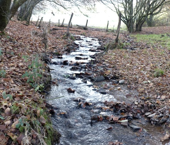 Millstream, © Tourist-Information Islek Millstream, © Tourist-Information Islek