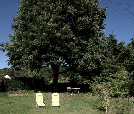 Genug Schatten für Alle Genug Schatten für Alle