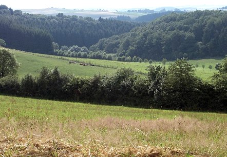 Blick auf Dahnen, © V. Teuschler Blick auf Dahnen, © V. Teuschler