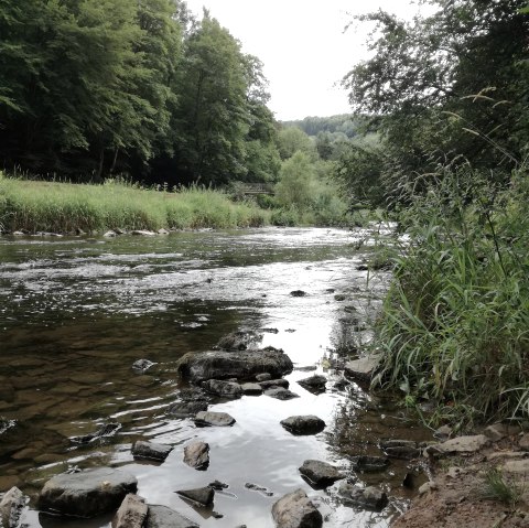 Die Kyll, © Tourist-Information Bitburger Land Die Kyll, © Tourist-Information Bitburger Land