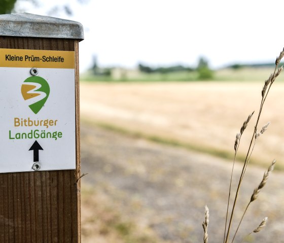 Wegweiser der Bitburger LandGänge mit der Aufschrift 'Kleine Prüm-Schleife' vor einem Feld in ländlicher Umgebung., © TI Bitburger Land Wegweiser der Bitburger LandGänge mit der Aufschrift 'Kleine Prüm-Schleife' vor einem Feld in ländlicher Umgebung., © TI Bitburger Land