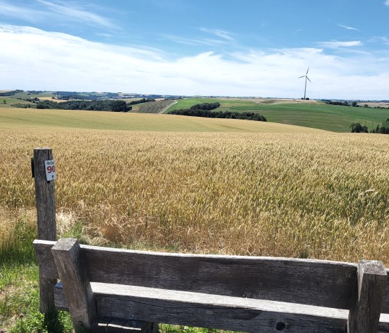 Wooden bench in front of a golden wheat field, in the background green hills under a blue sky., © Tourist-Information Islek Wooden bench in front of a golden wheat field, in the background green hills under a blue sky., © Tourist-Information Islek