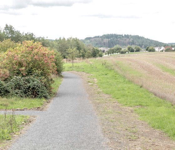 Komfortweg Daleiden, © Naturpark Südeifel/Thomas Urbany Komfortweg Daleiden, © Naturpark Südeifel/Thomas Urbany