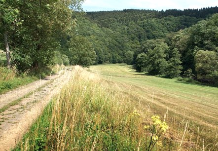 bei Gentingen, © V. Teuschler bei Gentingen, © V. Teuschler