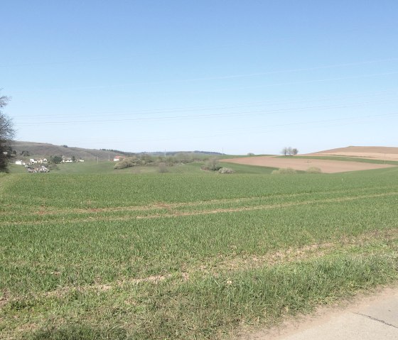 img_8888, © Felsenland Südeifel Tourismus GmbH img_8888, © Felsenland Südeifel Tourismus GmbH