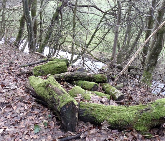 am Bach entlang, © Tourist-Information Islek am Bach entlang, © Tourist-Information Islek