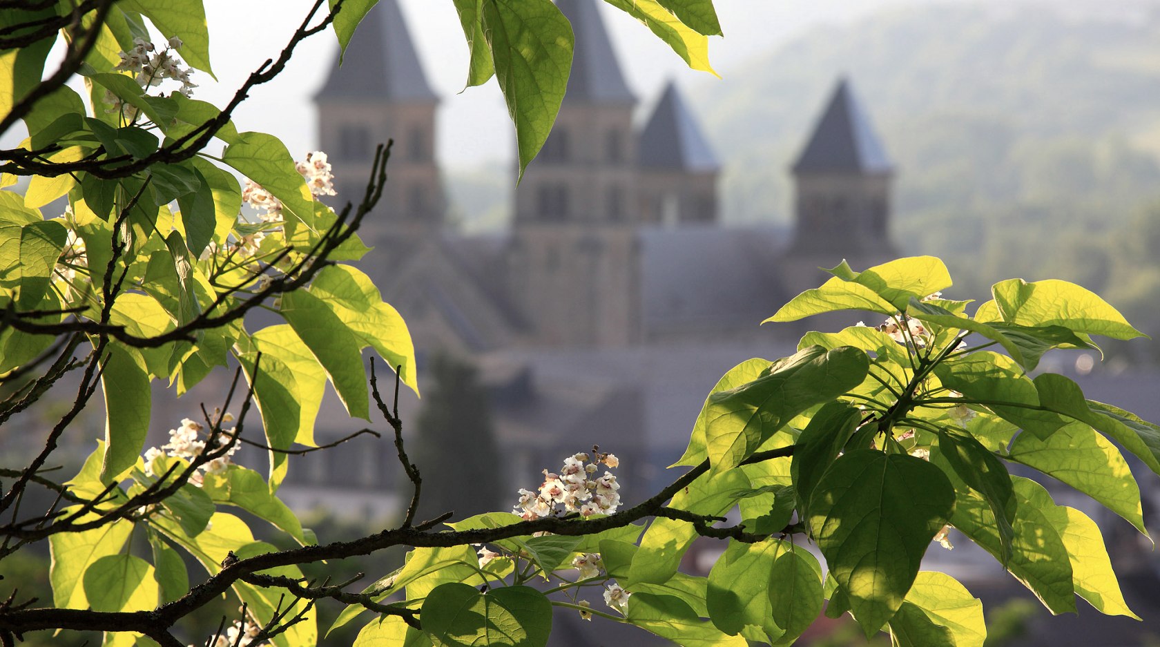 Felsenweg 4 im NaturWanderPark delux, © NP Südeifel ZV / Charly Schleder Felsenweg 4 im NaturWanderPark delux, © NP Südeifel ZV / Charly Schleder