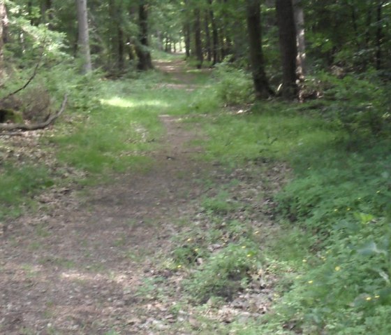 Umgebung von Herforst Umgebung von Herforst