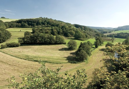 Naturparktipp Sommerferien 2020, © Naturpark Südeifel/Pierre Haas Naturparktipp Sommerferien 2020, © Naturpark Südeifel/Pierre Haas