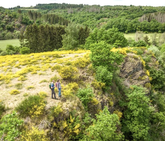 Zwei Wanderer auf einem Hügel mit gelbem Ginster, umgeben von grüner Waldlandschaft. Aussichtspunkt auf der Eifelgold Route., © Eifel Tourismus GmbH, Dominik Ketz Zwei Wanderer auf einem Hügel mit gelbem Ginster, umgeben von grüner Waldlandschaft. Aussichtspunkt auf der Eifelgold Route., © Eifel Tourismus GmbH, Dominik Ketz