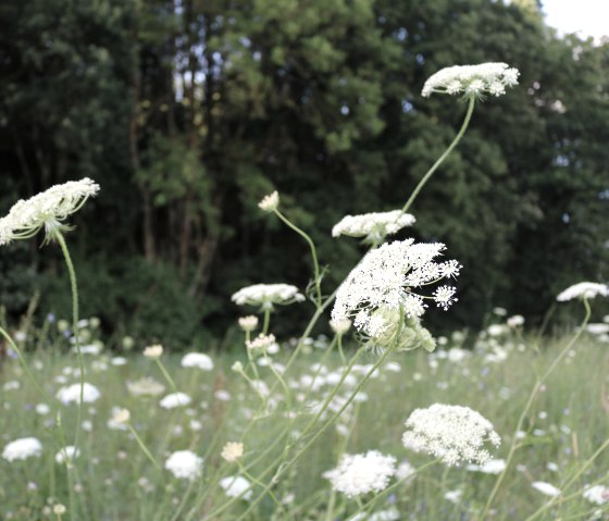 Naturschutz 2 Naturschutz 2