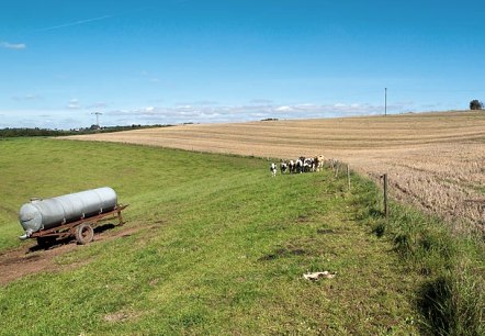 Felder bei Geichlingen, © V. Teuschler Felder bei Geichlingen, © V. Teuschler