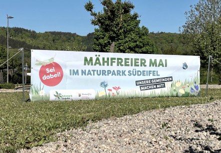 Banner "Mähfreier Mai" auf Kreisverkehr in Irrel , © Naturpark Südeifel/Ansgar Dondelinger Banner "Mähfreier Mai" auf Kreisverkehr in Irrel , © Naturpark Südeifel/Ansgar Dondelinger