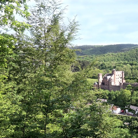 Hamm Castle is picturesquely enthroned amidst green forests and hills, surrounded by lush vegetation and a clear sky., © TI Bitburger Land Hamm Castle is picturesquely enthroned amidst green forests and hills, surrounded by lush vegetation and a clear sky., © TI Bitburger Land