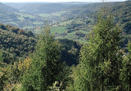 Das Prümtal, © NP Südeifel ZV Das Prümtal, © NP Südeifel ZV