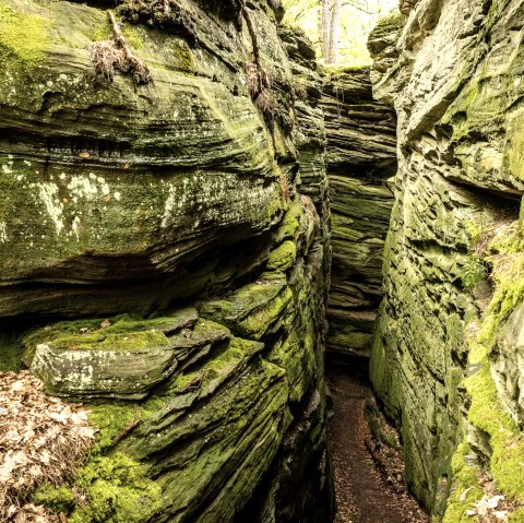 Narrow, moss-covered rocky gorge with foliage at the bottom. The walls are greenish and overgrown with plants., © Eifel Tourismus GmbH, Dominik Ketz Narrow, moss-covered rocky gorge with foliage at the bottom. The walls are greenish and overgrown with plants., © Eifel Tourismus GmbH, Dominik Ketz
