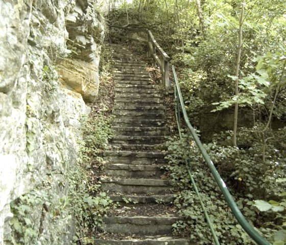 Treppe im Wald Treppe im Wald