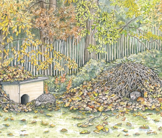 Unterschlupf für Igel, © Naturpark Südeifel/Sabine Dubb Unterschlupf für Igel, © Naturpark Südeifel/Sabine Dubb