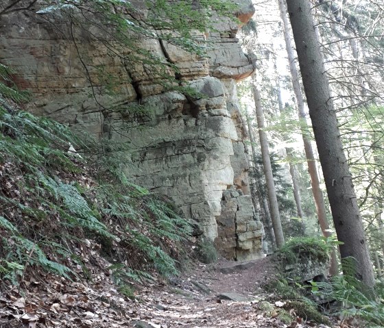 Delux Wanderweg 1 Delux Wanderweg 1