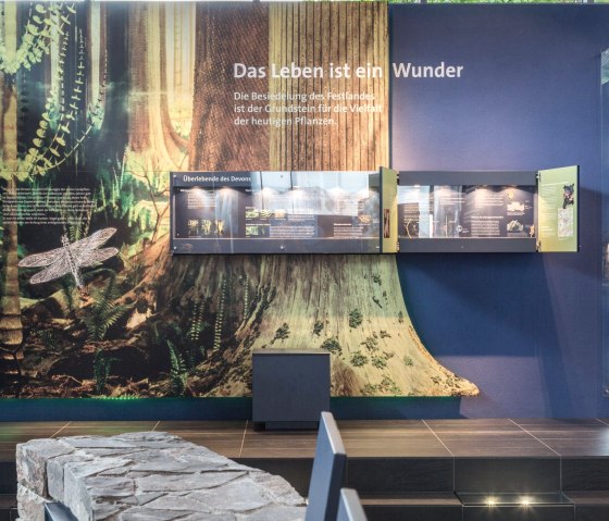 Devonium - Das Leben ist ein Wunder, © Hans-Peter Gasper Devonium - Das Leben ist ein Wunder, © Hans-Peter Gasper