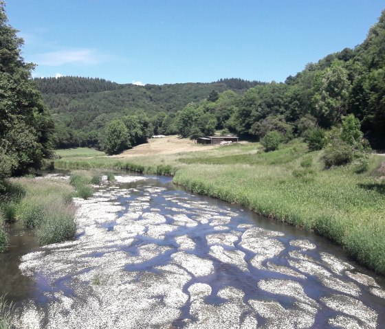 Prüm, © Eifelmarathon e.V. Prüm, © Eifelmarathon e.V.