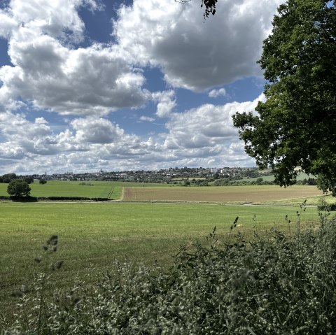 Wide green fields under a cloudy sky, trees and grasses in the foreground, a cityscape in the background., © TI Bitburger Land Wide green fields under a cloudy sky, trees and grasses in the foreground, a cityscape in the background., © TI Bitburger Land