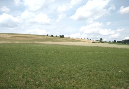 Komfort-Weg Daleiden Aussicht, © Naturpark Südeifel/Indra Schaperdoth Komfort-Weg Daleiden Aussicht, © Naturpark Südeifel/Indra Schaperdoth