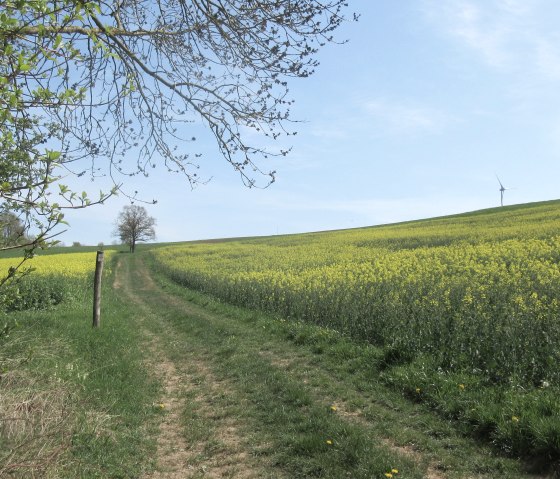 img_8956, © Felsenland Süeeifel Tourismus GmbH img_8956, © Felsenland Süeeifel Tourismus GmbH