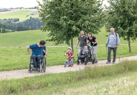 Komfort-Weg Ammeldingen bei Neuerburg, © Naturpark Südeifel/Thomas Urbany Komfort-Weg Ammeldingen bei Neuerburg, © Naturpark Südeifel/Thomas Urbany