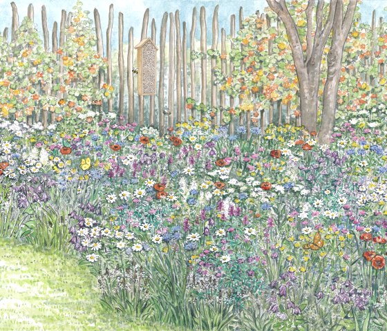 Gartenkultur-Eifel Blumenwiese, © Naturpark Südeifel/Sabine Dubb Gartenkultur-Eifel Blumenwiese, © Naturpark Südeifel/Sabine Dubb