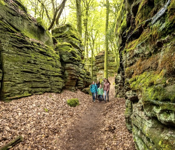 Eine Familie wandert durch einen moosbewachsenen Felsengang im Schluchtenwald bei Bollendorf. Die Umgebung ist grün und herbstlich., © Eifel Tourismus GmbH, Dominik Ketz Eine Familie wandert durch einen moosbewachsenen Felsengang im Schluchtenwald bei Bollendorf. Die Umgebung ist grün und herbstlich., © Eifel Tourismus GmbH, Dominik Ketz