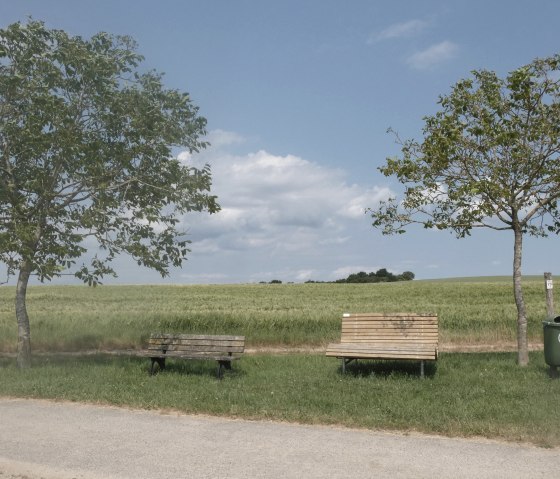 Zwei Bänke und ein Mülleimer stehen zwischen zwei Bäumen auf einem Rastplatz. Im Hintergrund ist ein grünes Feld unter blauem Himmel zu sehen., © TI Bitburger Land Zwei Bänke und ein Mülleimer stehen zwischen zwei Bäumen auf einem Rastplatz. Im Hintergrund ist ein grünes Feld unter blauem Himmel zu sehen., © TI Bitburger Land