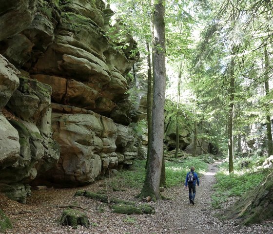 In der Moarkendell/Grüne Hölle Bollendorf, © Felsenland Südeifel Tourismus GmbH, Elke Wagner In der Moarkendell/Grüne Hölle Bollendorf, © Felsenland Südeifel Tourismus GmbH, Elke Wagner